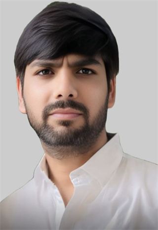 Mr Vipin Naik